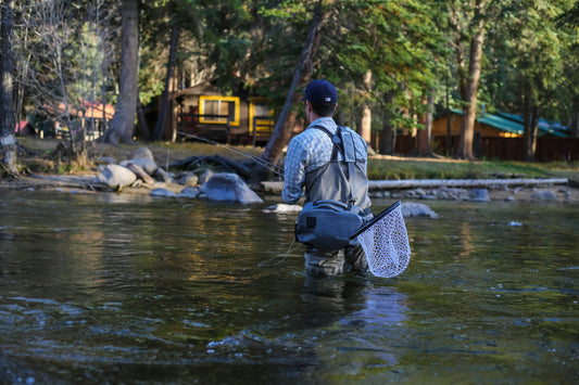 5 Saisons de Pêche : Comment Optimiser vos Sorties au Fil de l'Année