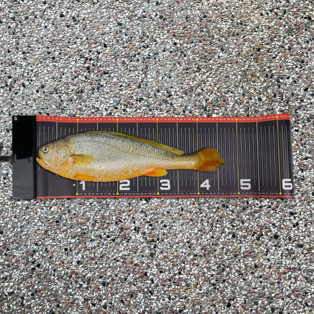 Règle de Pêche Compacte Antiglisse