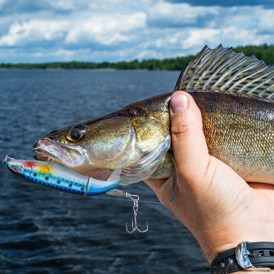 Leurre à queue rotative "Plopper"